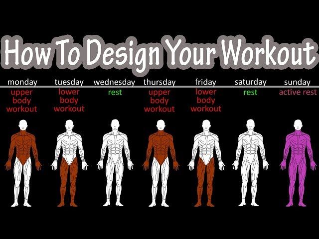 How to Design Your Weekly Workout Routine