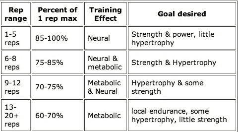 The Best Rep Ranges for Muscle Growth